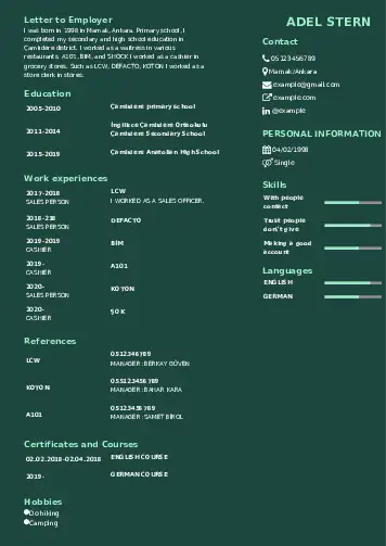 Self Employed resume example